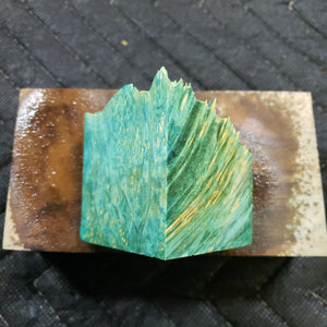 Casting box elder burl