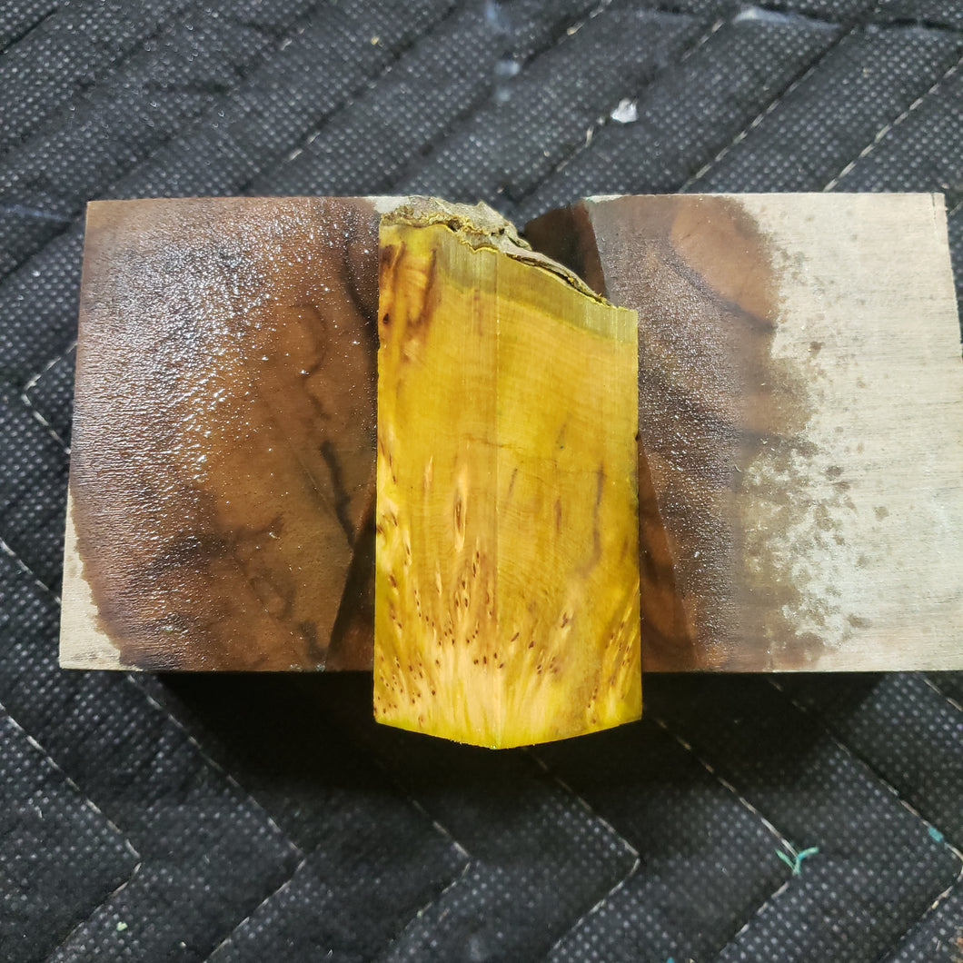 Casting yellow cedar burl