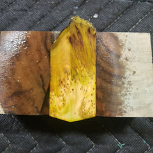 Casting yellow cedar burl