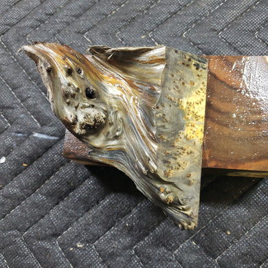 Casting yellow cedar burl