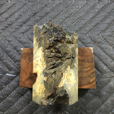 Casting yellow cedar burl