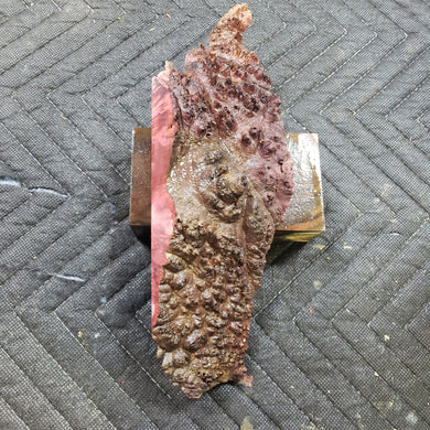 Casting box elder burl