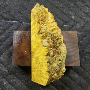 Casting box elder burl