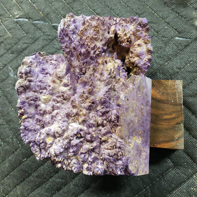 Casting box elder burl