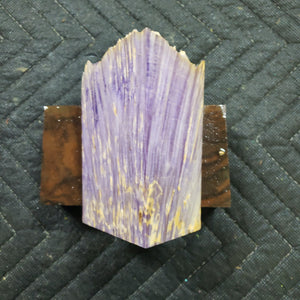 Casting box elder burl