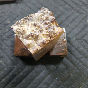 Casting box elder burl
