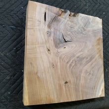 Black Walnut