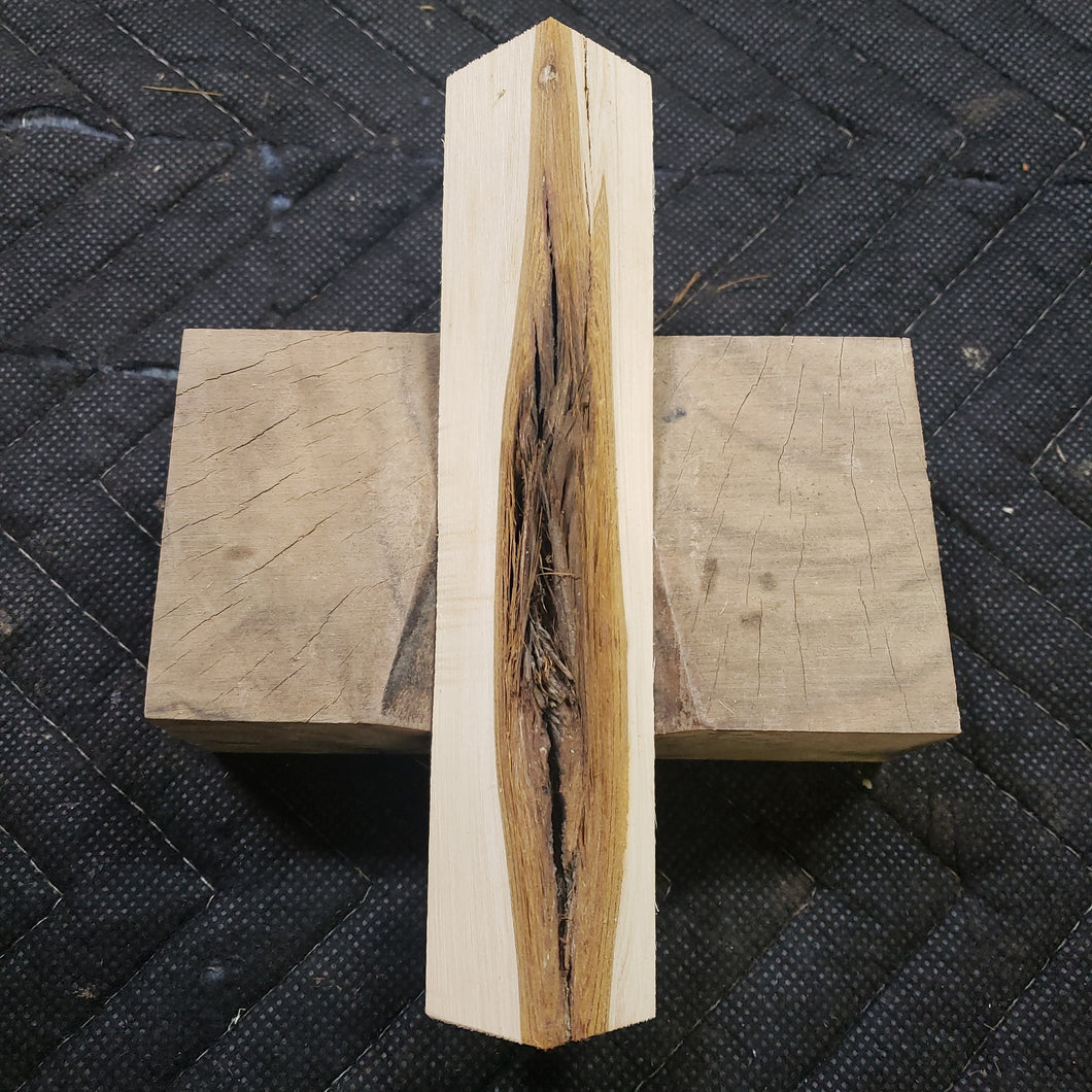 Casting Utah juniper