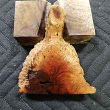 Casting Manzanita burl