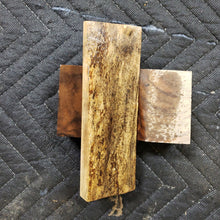Casting horse chestnut