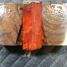 Casting bloodwood burl