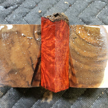 Casting bloodwood burl