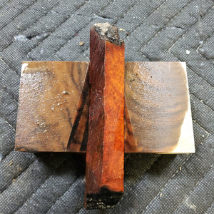 Casting bloodwood burl