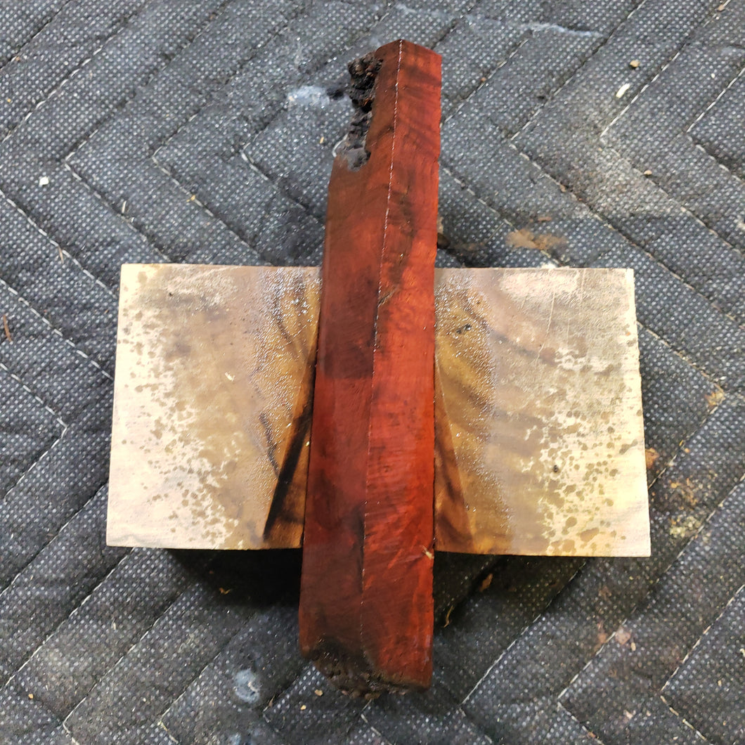 Casting bloodwood burl