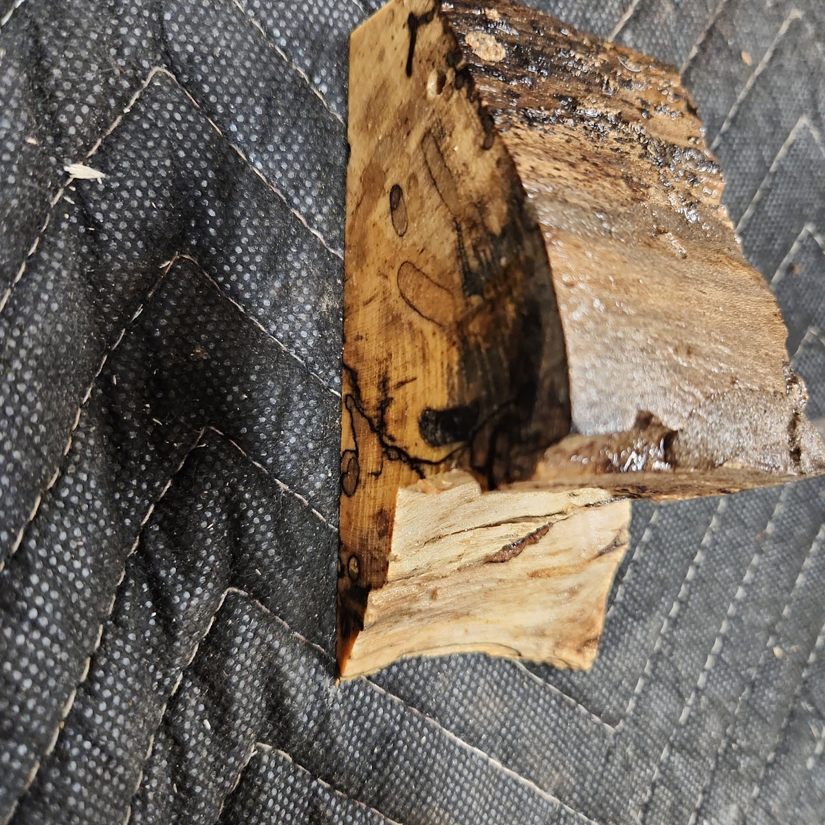Casting Hackberry