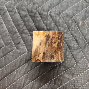 Casting Hackberry