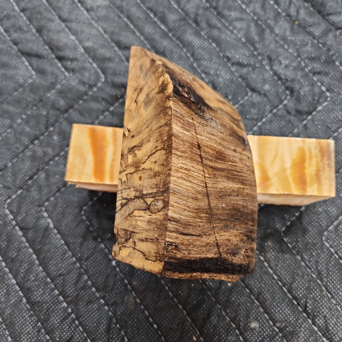 Casting Hackberry
