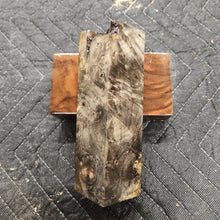 Stabilized Buckeye burl