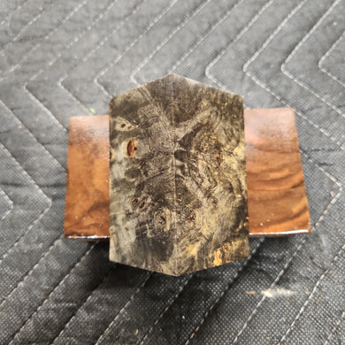 Buckeye burl