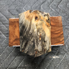 Stabilized Buckeye burl