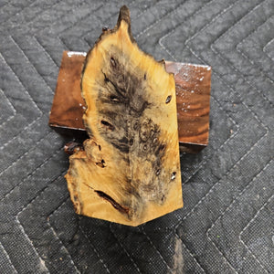 Casting buckeye burl