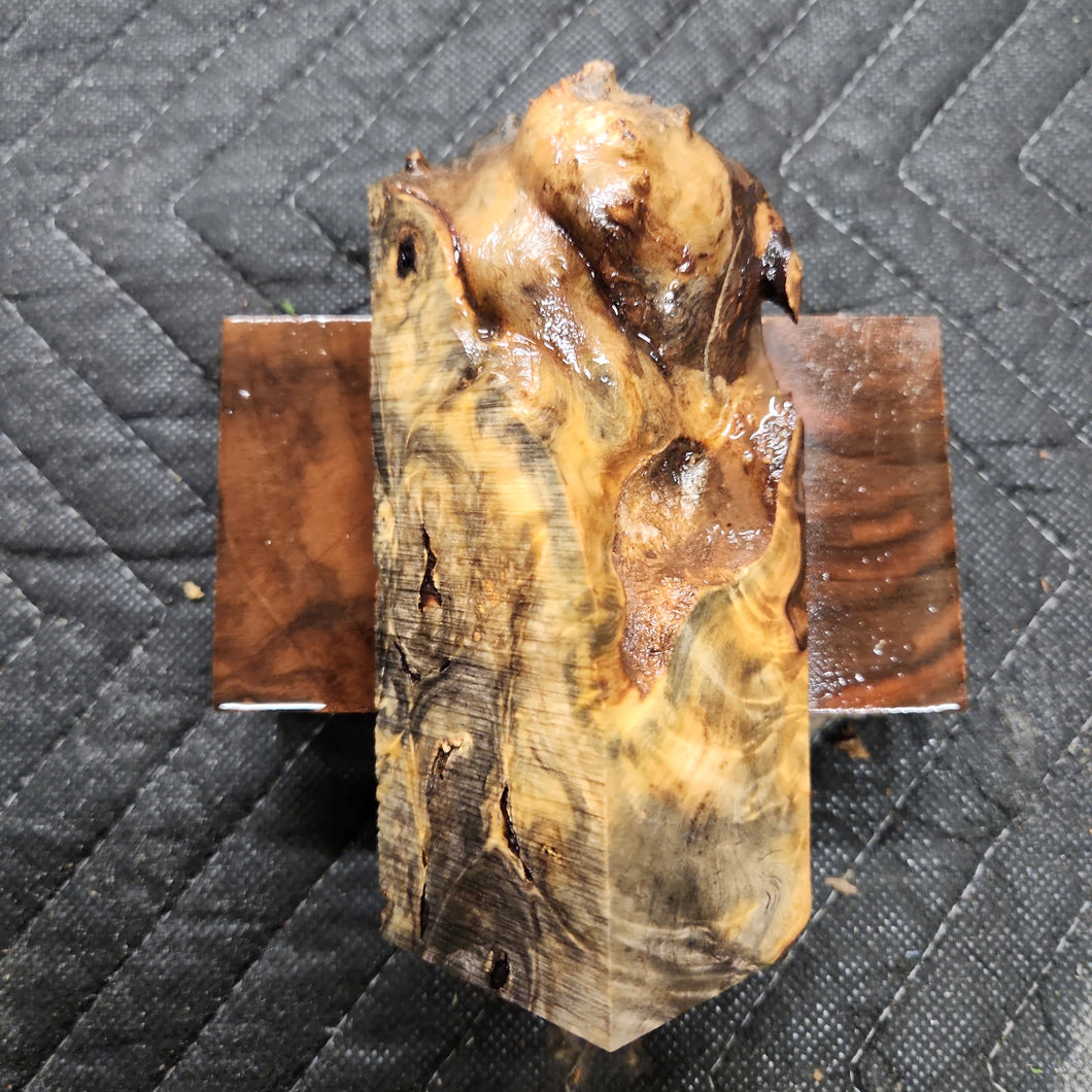 Casting buckeye burl