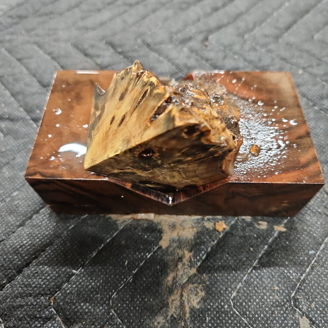 Casting buckeye burl