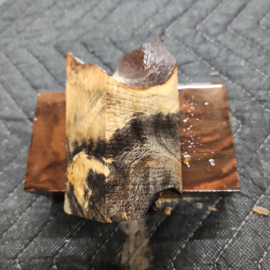 Casting buckeye burl