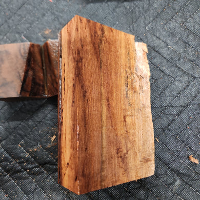 Casting Beefwood