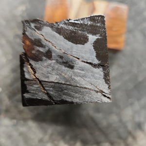 African Blackwood