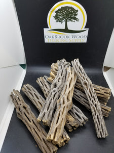 Cholla casting - Oakbrook Wood Turning Supply