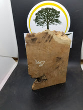 casting Brown Mallee burl - Oakbrook Wood Turning Supply