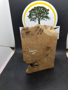 casting Brown Mallee burl - Oakbrook Wood Turning Supply