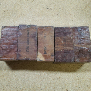 Red coolibah