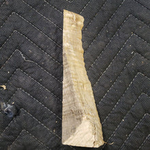 Casting maple curly