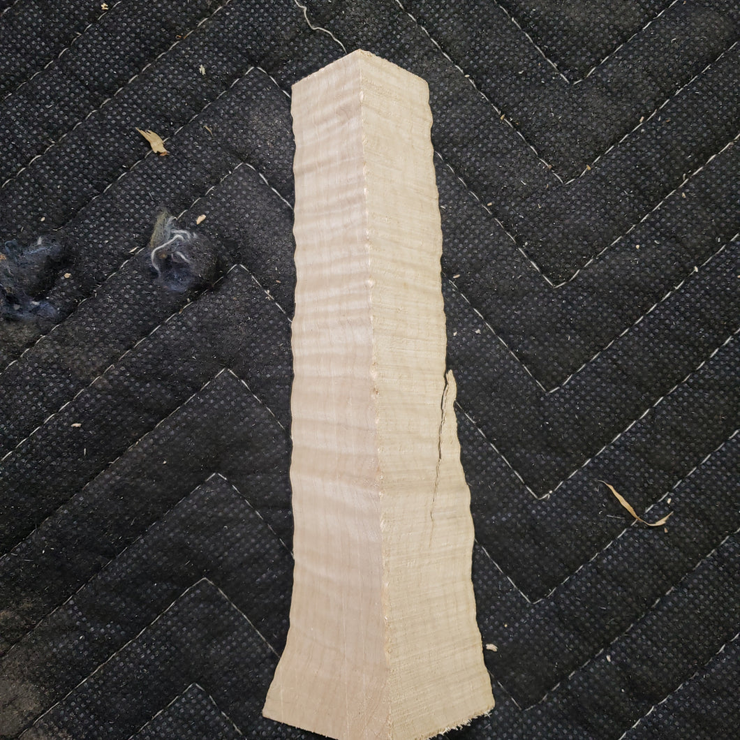 Casting maple curly