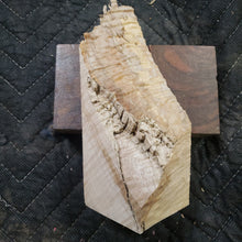Casting maple curly