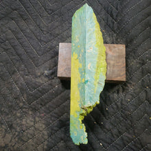 Casting box elder burl