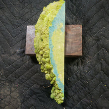 Casting box elder burl