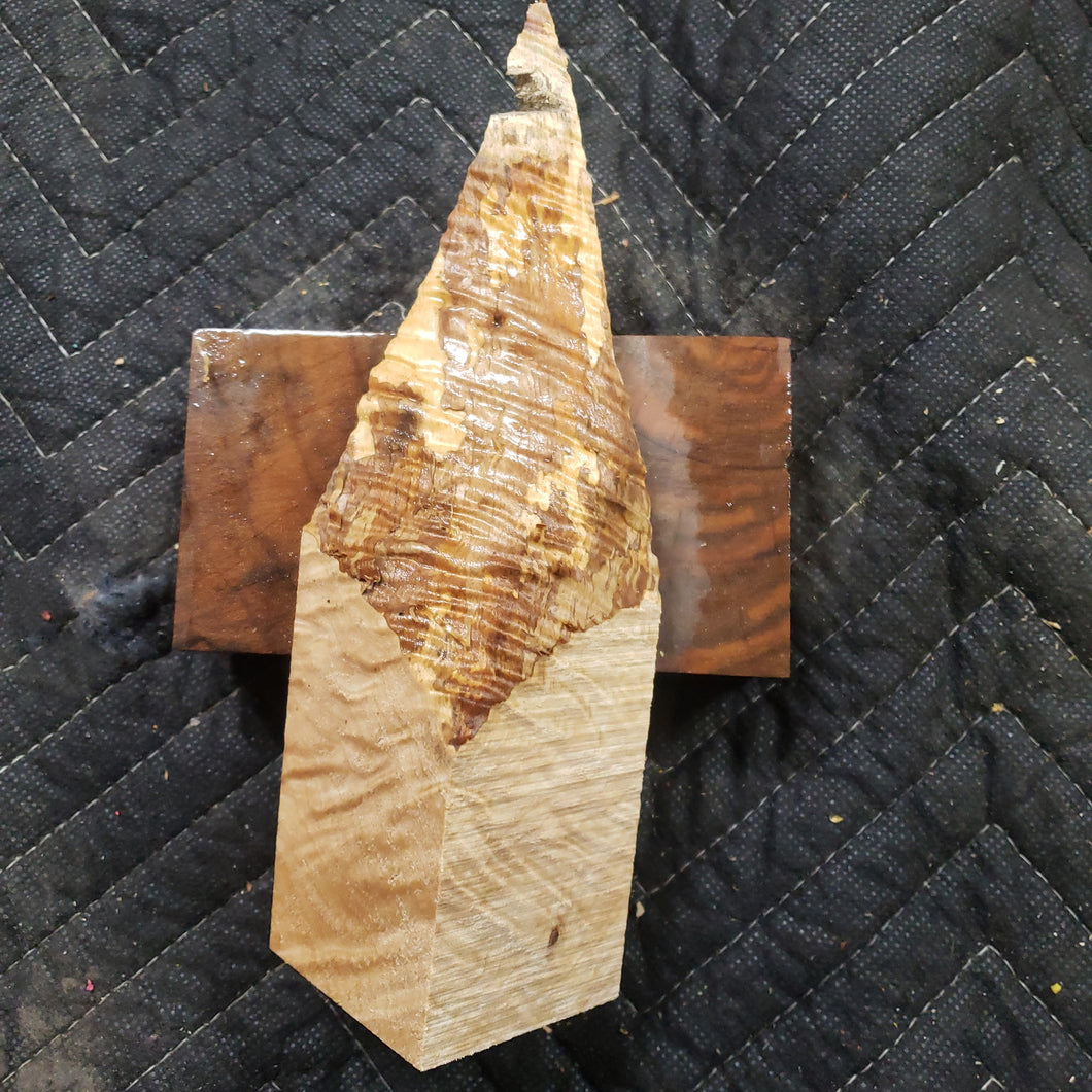 Casting maple curly