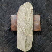 Casting box elder burl