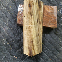 Casting chestnut