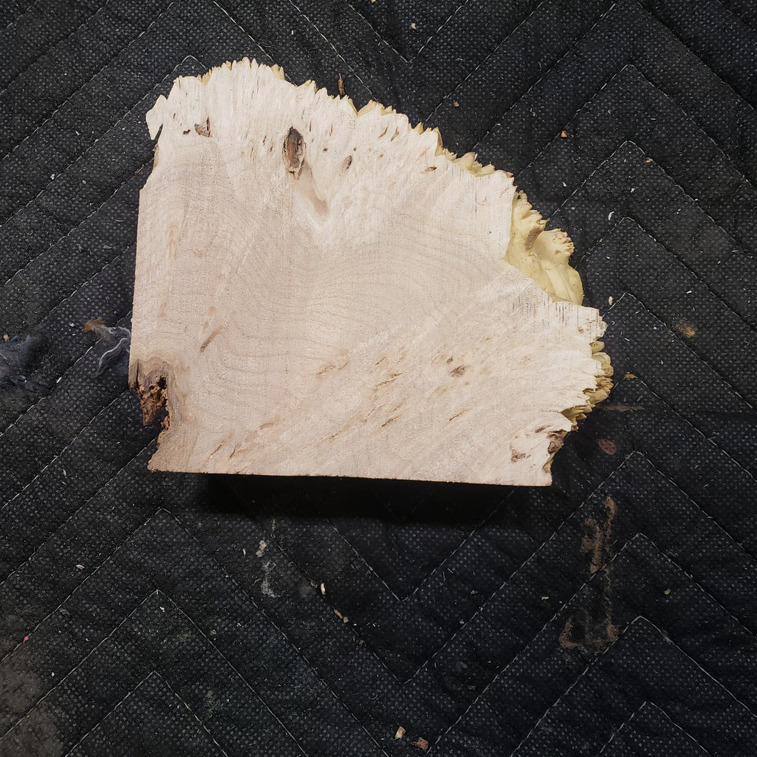 Casting maple burl