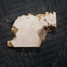 Casting maple burl