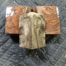 Casting buckeye burl