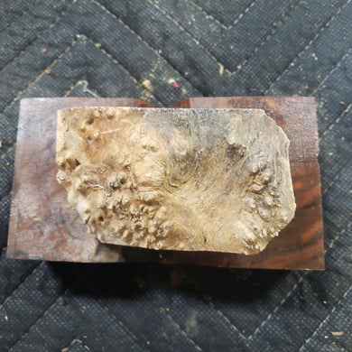Casting box elder burl