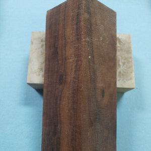 Desert ironwood