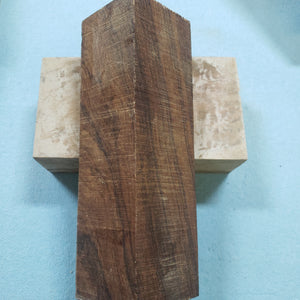 Desert ironwood