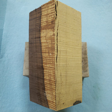 Desert ironwood