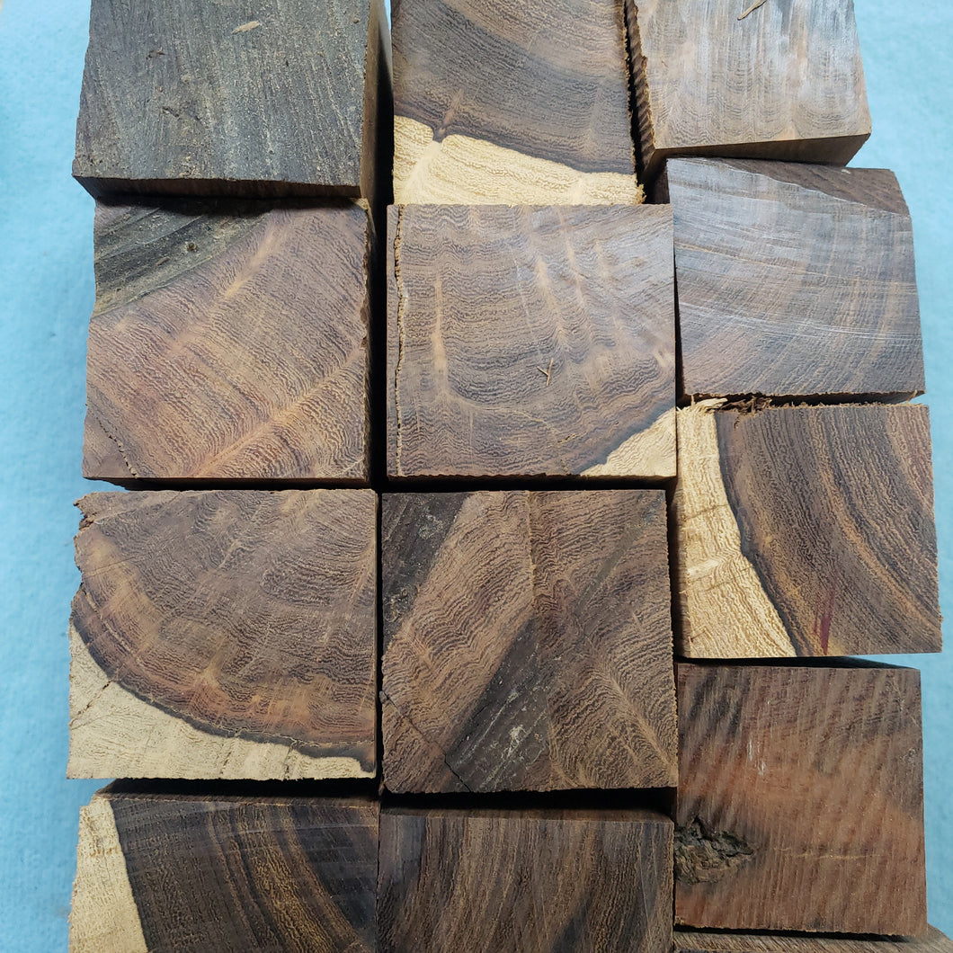 Desert ironwood stopper #1